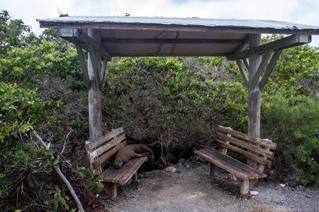 Isabela, tintoreras, túneles y tantas cosas