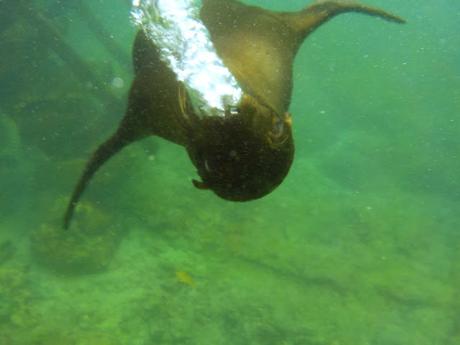 Isabela, tintoreras, túneles y tantas cosas