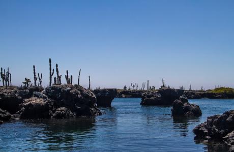 Isabela, tintoreras, túneles y tantas cosas