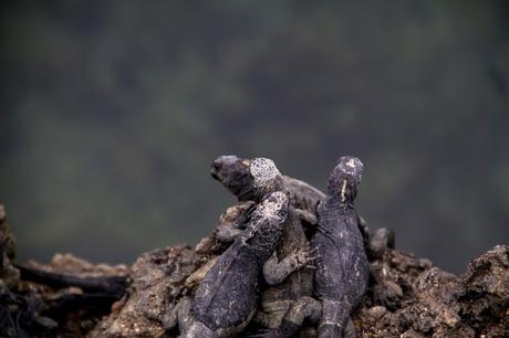 Isabela, tintoreras, túneles y tantas cosas