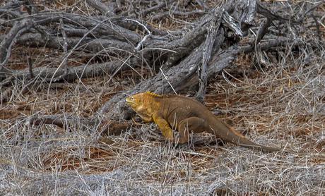 Isabela, tintoreras, túneles y tantas cosas