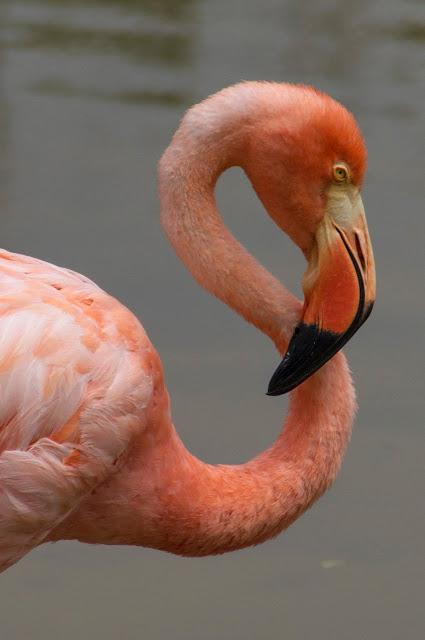 Isabela, tintoreras, túneles y tantas cosas