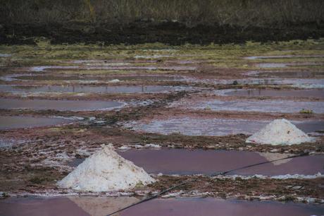 Isabela, tintoreras, túneles y tantas cosas