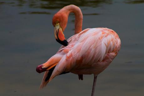 Isabela, tintoreras, túneles y tantas cosas