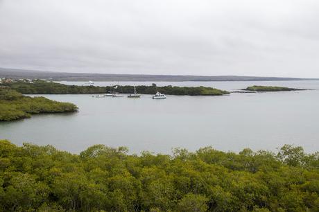 Isabela, tintoreras, túneles y tantas cosas