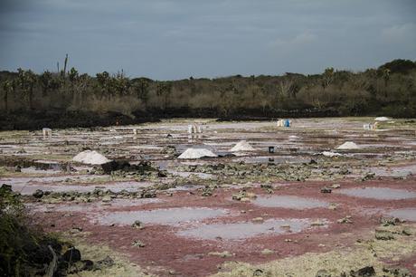 Isabela, tintoreras, túneles y tantas cosas