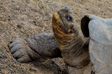 Isabela, tintoreras, túneles y tantas cosas