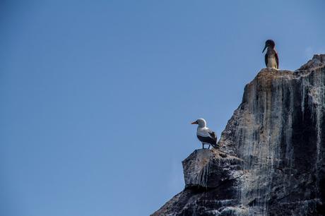 Isabela, tintoreras, túneles y tantas cosas
