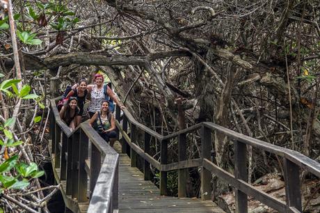 Isabela, tintoreras, túneles y tantas cosas