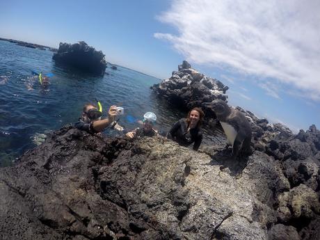 Isabela, tintoreras, túneles y tantas cosas