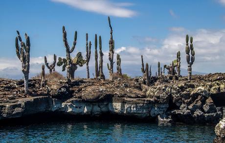 Isabela, tintoreras, túneles y tantas cosas
