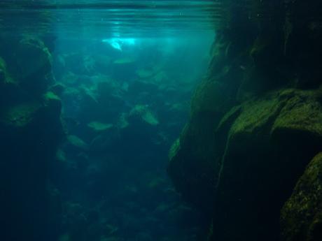 Isabela, tintoreras, túneles y tantas cosas