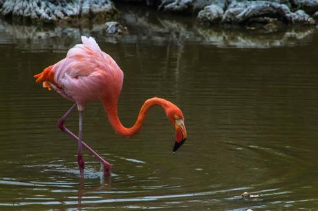Isabela, tintoreras, túneles y tantas cosas