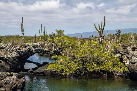 Isabela, tintoreras, túneles y tantas cosas