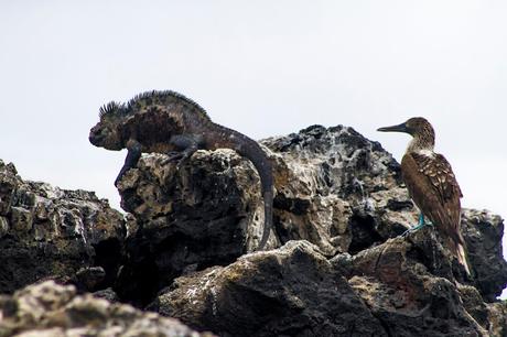Isabela, tintoreras, túneles y tantas cosas