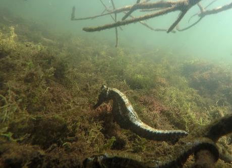Isabela, tintoreras, túneles y tantas cosas