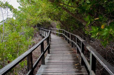 Isabela, tintoreras, túneles y tantas cosas