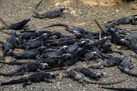 Isabela, tintoreras, túneles y tantas cosas