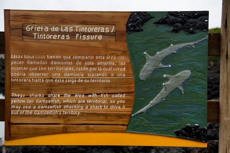 Isabela, tintoreras, túneles y tantas cosas