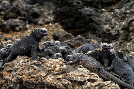 Isabela, tintoreras, túneles y tantas cosas