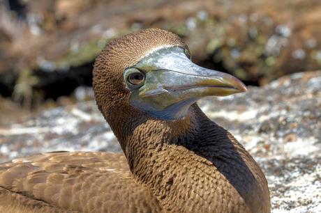Isabela, tintoreras, túneles y tantas cosas