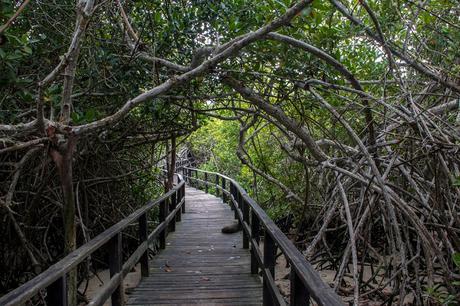 Isabela, tintoreras, túneles y tantas cosas