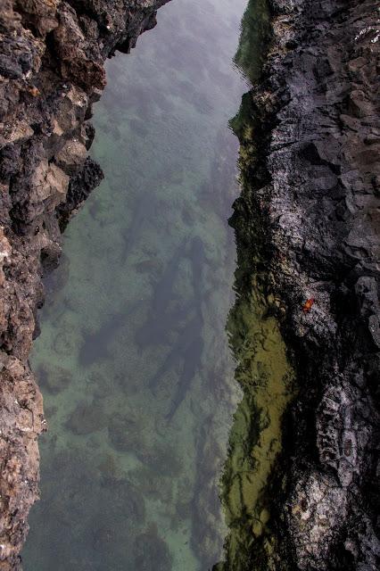Isabela, tintoreras, túneles y tantas cosas