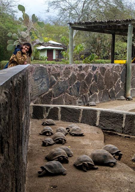 Isabela, tintoreras, túneles y tantas cosas