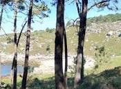 bibliografía descubrirlaquimica2