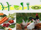 alimentos indispensables dieta para gozar buena salud