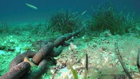 Formentera_ExitoPosidonia