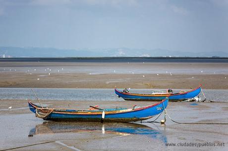 Alcochete. Estuario del Tajo.