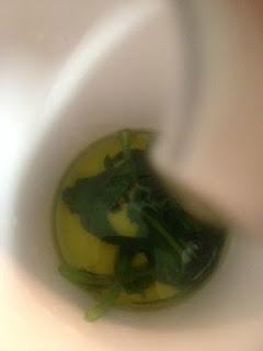 TOMATITOS CHERRY COMO APERITIVO Y ENSALADA CON BURRATA Y ALBAHACA