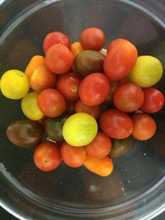 TOMATITOS CHERRY COMO APERITIVO Y ENSALADA CON BURRATA Y ALBAHACA
