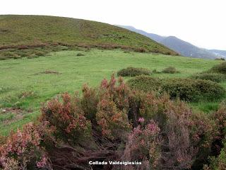 Busdongo-La Páxara-El Ceyón