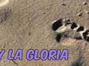 Entre indignidad gloria