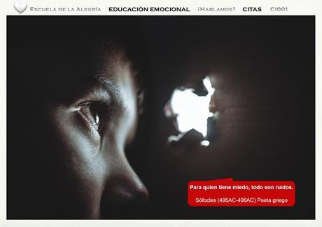 Sentimientos y Emociones. Nueva Colección para la Educación Emocional. Citas 001