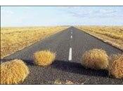 años reforma agraria Chile