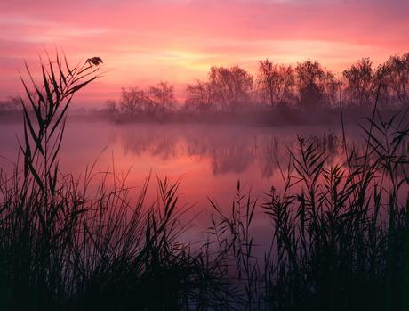Pintura Romantica Luis Gil