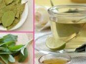 Infusión salvia laurel para adelgazar lograr vientre plano