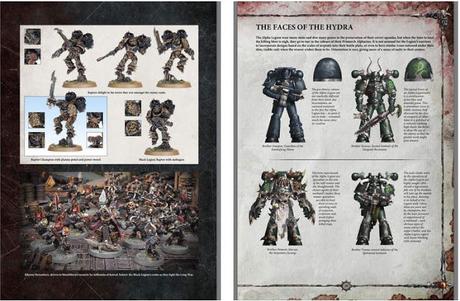 Codex MEC en Agosto, y huele a rerefrito