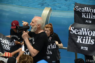 Arrestado el protagonista de 'Babe' en una protesta animalista en SeaWorld