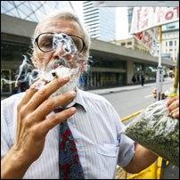 Cómo criar tu propia plantita de marihuana en tu armario