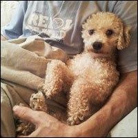 Palabras que no existen en inglés