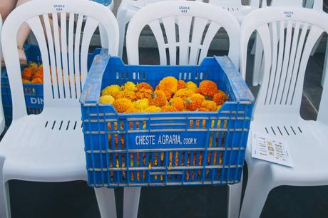 LA BATALLA DE FLORES