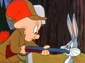 ¿Qué necesitas para cazar conejo?