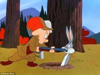 ¿Qué necesitas para cazar un conejo?