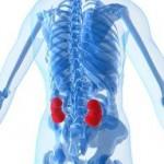 Enfermedad renal crónica en el paciente anciano.