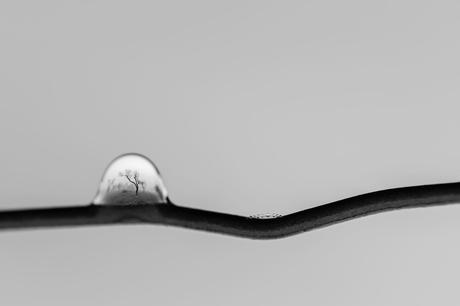 Mundos Del Reves De Cristian M Fontan De San Antonio De Portmany Ibiza