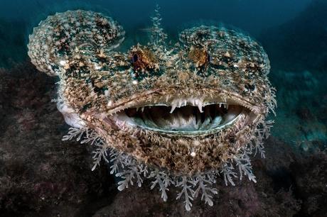 Rape De Marc Casanovas Felix De Barcelona Barcelona